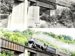 Rail